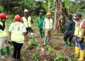 Banane-plantain: Pari agricole et test grandeur nature pour l’entrepreneuriat des jeunes