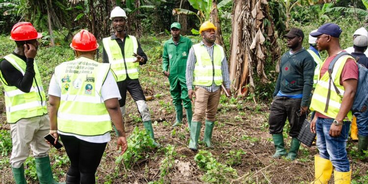 Banane-plantain: Pari agricole et test grandeur nature pour l’entrepreneuriat des jeunes