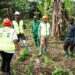 Banane-plantain: Pari agricole et test grandeur nature pour l’entrepreneuriat des jeunes