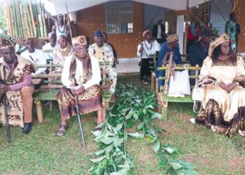 Nlar Mbvumbo: L’identité Mbvumbo à l’épreuve de son renouveau