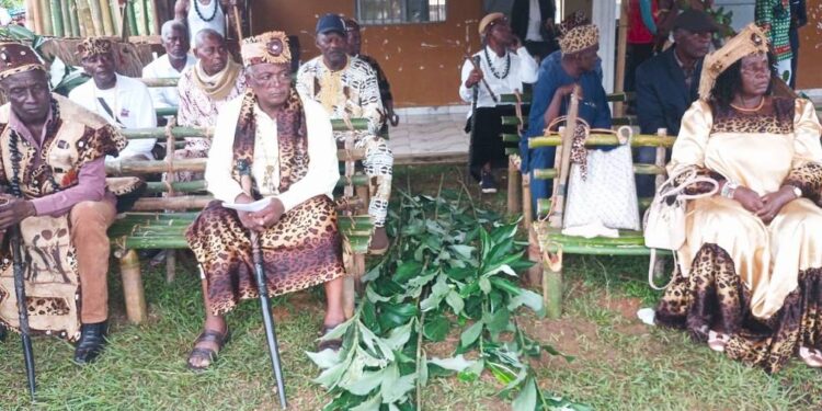 Nlar Mbvumbo:  L’identité Mbvumbo à l’épreuve de son renouveau