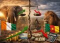 Côte d’Ivoire vs Cameroun : deux trajectoires contrastées sur les marchés internationaux