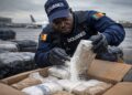 Douala: nouveau front de la guerre antidrogue en Afrique centrale