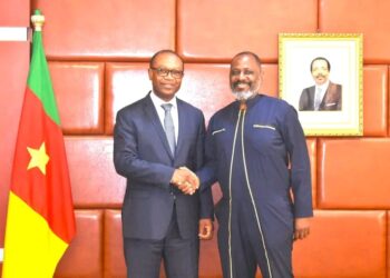 Achille Bassilekin III mise sur la banane plantain pour incuber la jeunesse rurale