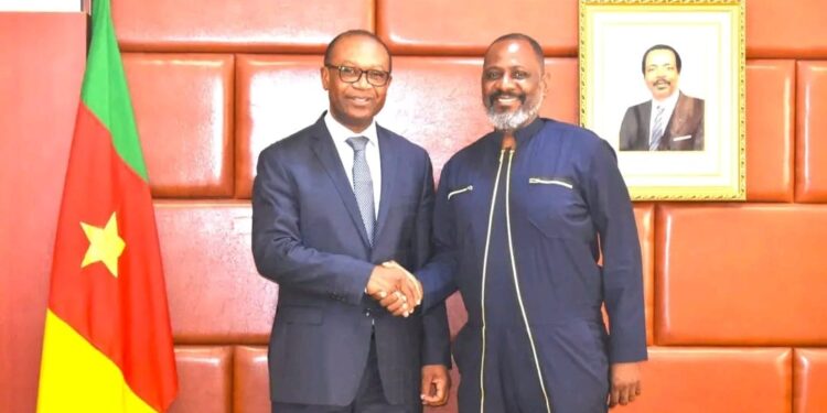 Achille Bassilekin III mise sur la banane plantain pour incuber la jeunesse rurale