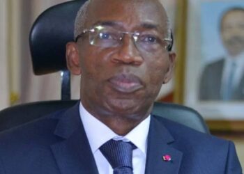 Forêts: Le Cameroun face au défi de la revalorisation des essences oubliées