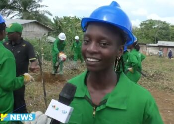 Promotion  » Chantal Biya  » filière banane plantain du Cameroun le vécu des 27 jeunes en incubation