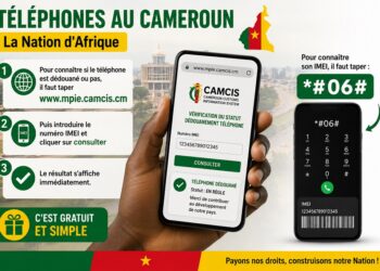 Vérifier le dédouanement de votre téléphone : la méthode simple et gratuite
