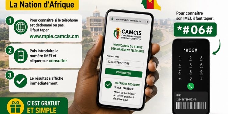 Vérifier le dédouanement de votre téléphone : la méthode simple et gratuite