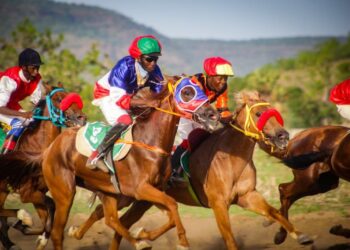SPORT ÉQUESTRE:  GRAND PRIX INTERNATIONAL DU CAMEROUN 2026