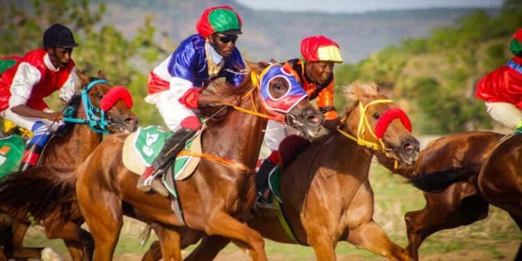 SPORT ÉQUESTRE: GRAND PRIX INTERNATIONAL DU CAMEROUN 2026