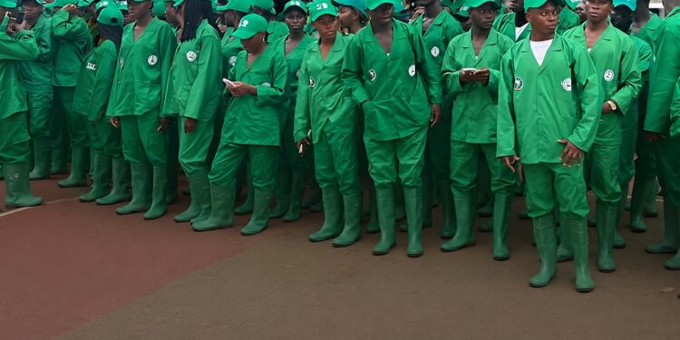 Banane plantain : Le pari audacieux de l’agribusiness étudiant au Cameroun