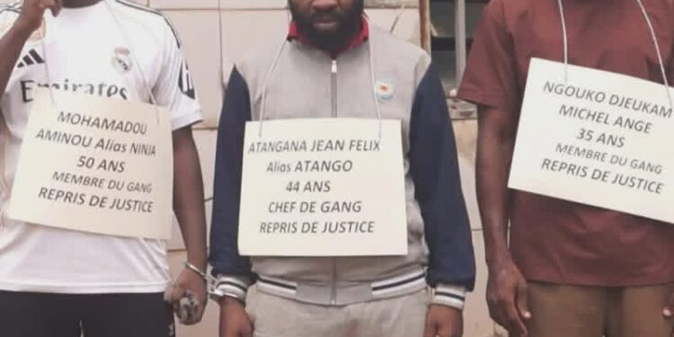 BERTOUA  FIN DE CAVALE POUR UN GANG DE BRAQUEURS APRÈS 10 ANS DE TERREUR, 15 KG D&rsquo;OR ET 121 MILLIONS DE FCFA SAISIS PAR LA POLICE JUDICIAIRE.