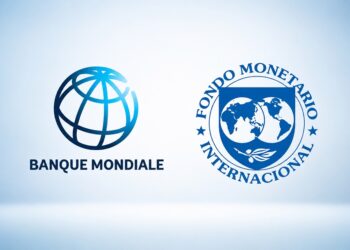 FMI et Banque mondiale: Partenaires du développement ou instruments d&rsquo;influence ?