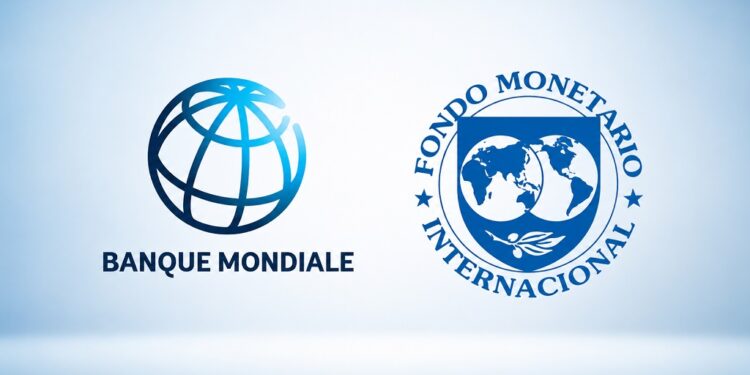 FMI et Banque mondiale: Partenaires du développement ou instruments d’influence ?