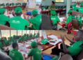 Banane plantain: La nouvelle génération d’entrepreneurs agricoles prend forme à Messamena