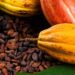 Cacao : Le Cameroun refuse une écologie sans justice économique
