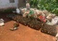 BANDJOUN (OUEST) LA DOUANE SAISIT D’IMPORTANTS STOCKS DE BOISSONS FRELATÉES ET MET SOUS SCELLÉS DEUX USINES CLANDESTINES DANS DES DOMICILES PRIVÉS