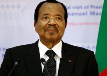 LE TEMPS DES VAUTOURS