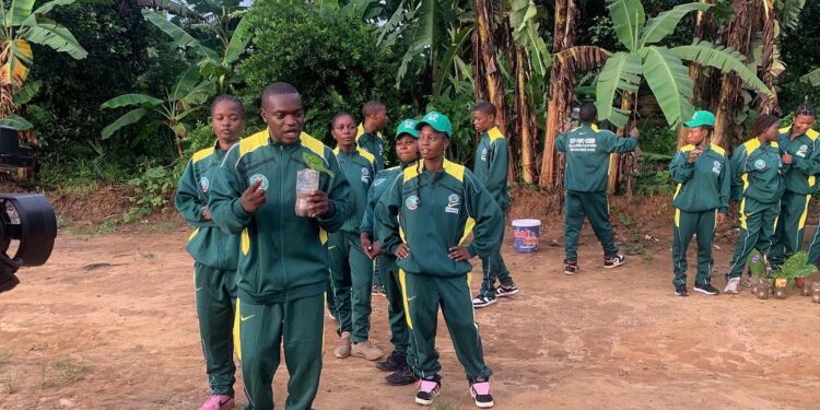 MESSAMENA : DES VITROPLANTS AUX ÉTUDIANTS ET DES TOITS POUR LES PRODUCTEURS DE BANANE-PLANTAIN