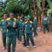 MESSAMENA : DES VITROPLANTS AUX ÉTUDIANTS ET DES TOITS POUR LES PRODUCTEURS DE BANANE-PLANTAIN