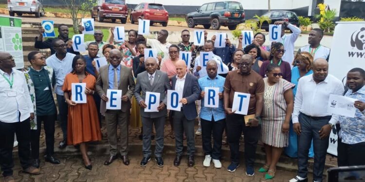 BIODIVERSITÉ: Lancement du Living planet report 2026 par WWF Cameroun