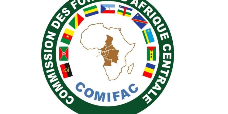 COMIFAC :  Le bassin du Congo à l’épreuve du développement durable